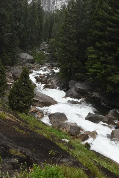 DSC_4709 (Large).JPG